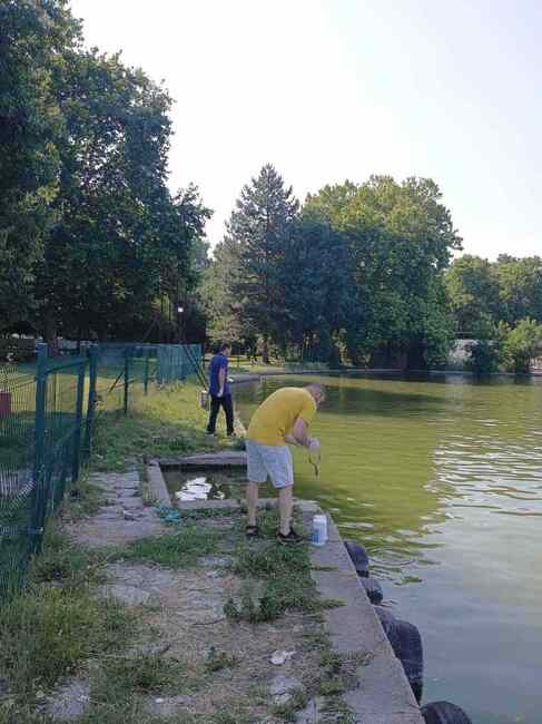 Утре в Пазарджик ще пръскат срещу комари