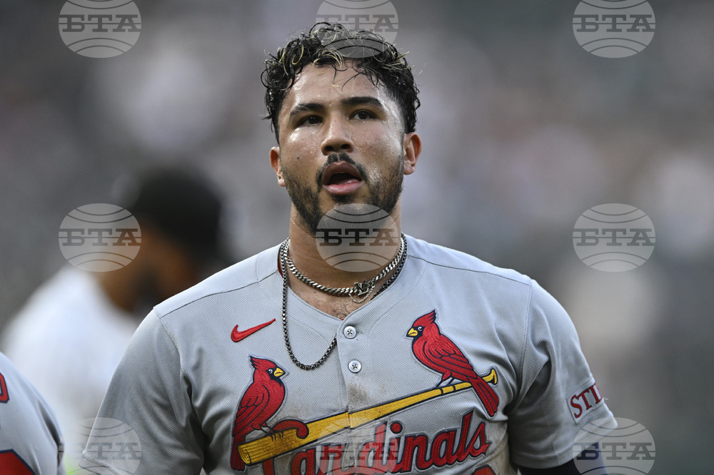 Cardinals White Sox Baseball