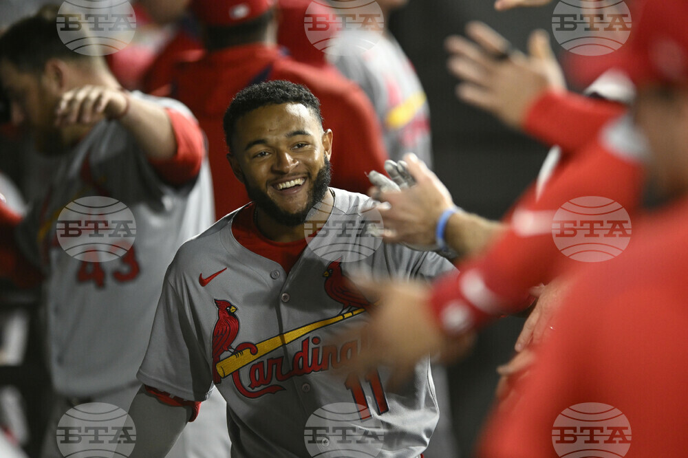 Cardinals White Sox Baseball