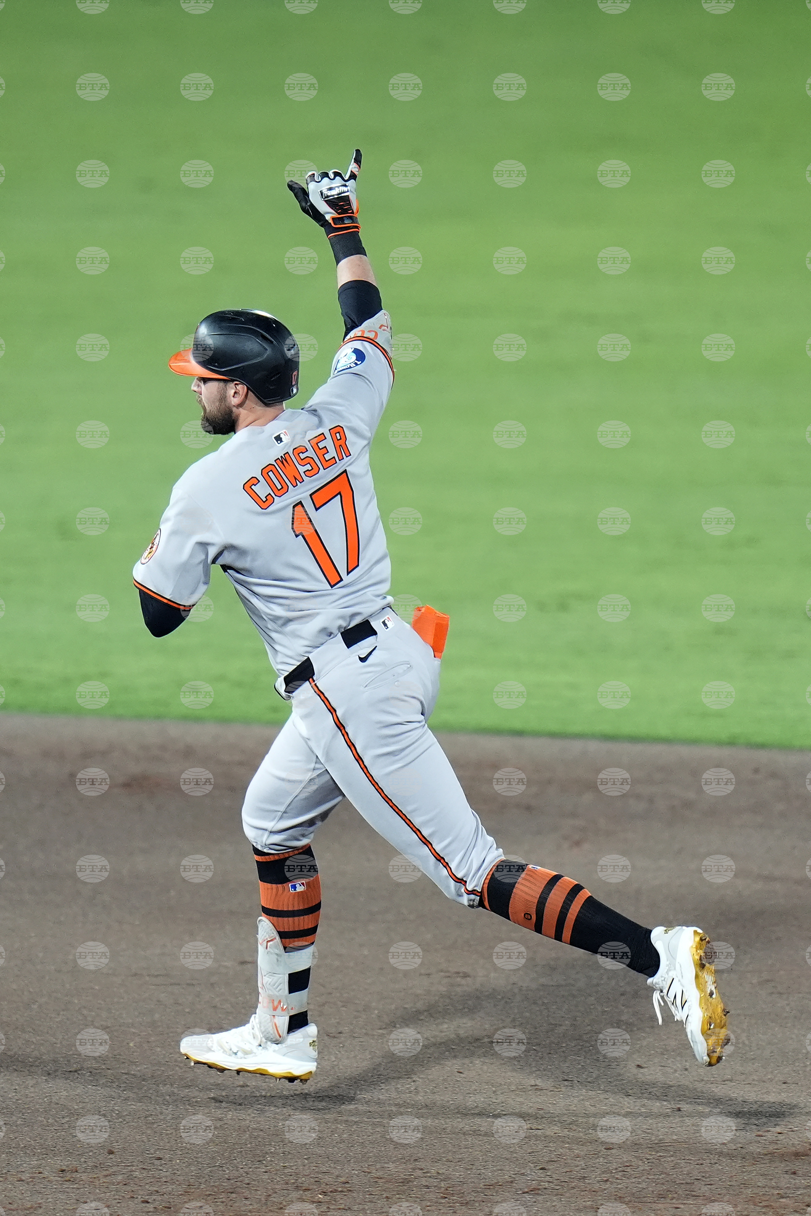 Orioles Rays Baseball