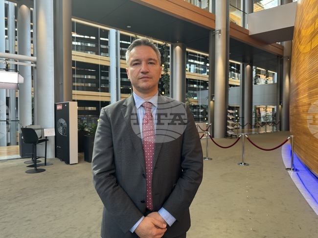 North Macedonia's EU Membership Vetoed by Its PM, Government, MEP Vigenin Says