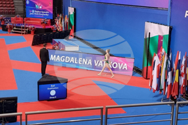 Световно първенство по художествена гимнастика