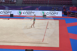 Световно първенство по художествена гимнастика