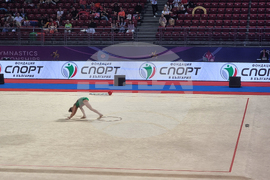 Световно първенство по художествена гимнастика