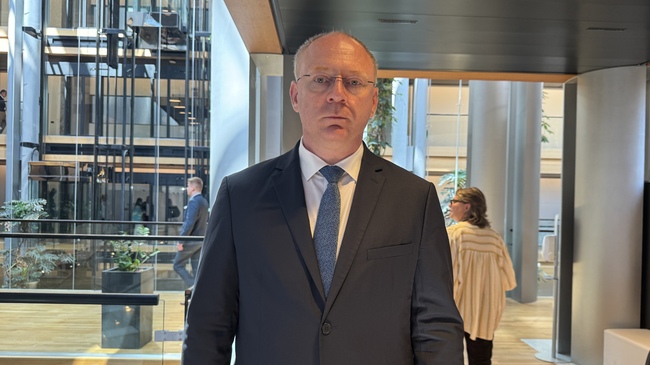 Bulgarian MEP Stoyanov: Best-Case Scenario Is No Report At All on North Macedonia's EU Membership Progress