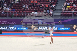 Световно първенство по художествена гимнастика