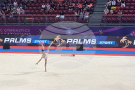 Световно първенство по художествена гимнастика