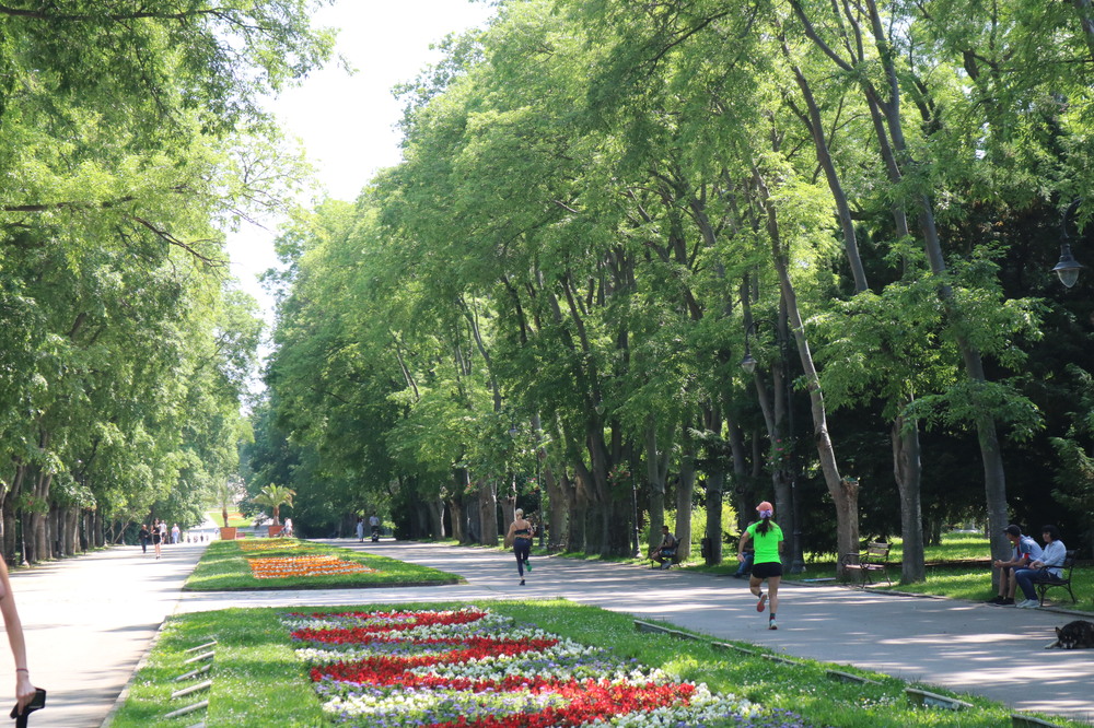 Варна отбелязва Световния ден на бежанеца с послание за приобщаване чрез спорт