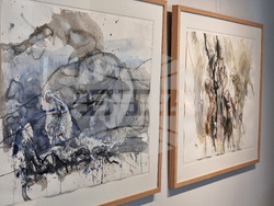 Варна - Станислав Памукчиев - изложба „Разливи“