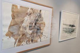 Варна - Станислав Памукчиев - изложба „Разливи“