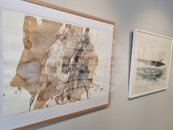 Варна - Станислав Памукчиев - изложба „Разливи“