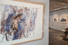 Варна - Станислав Памукчиев - изложба „Разливи“