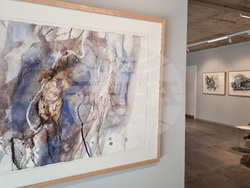 Варна - Станислав Памукчиев - изложба „Разливи“