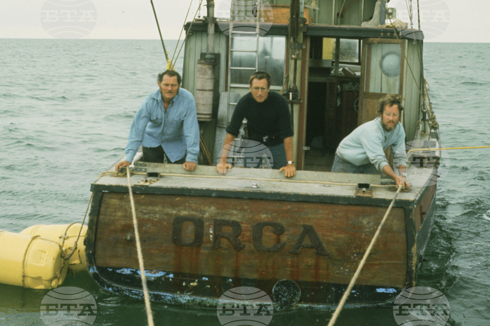 Film - Jaws at 50