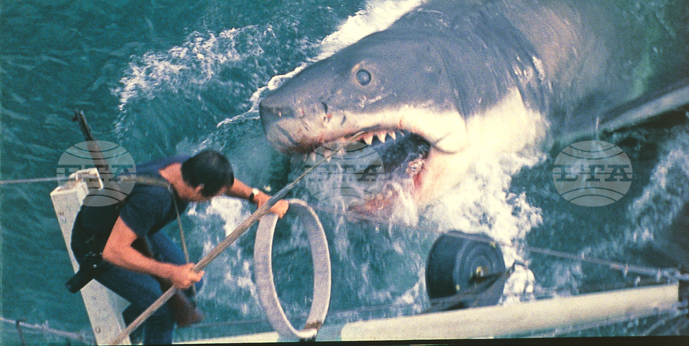 Film - Jaws at 50