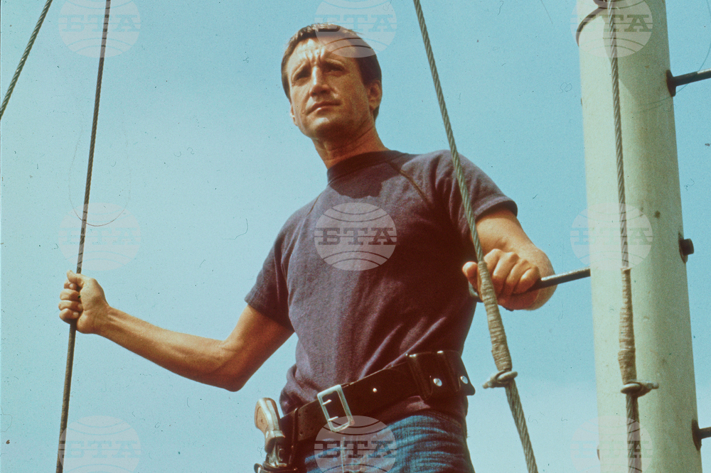 Film - Jaws at 50