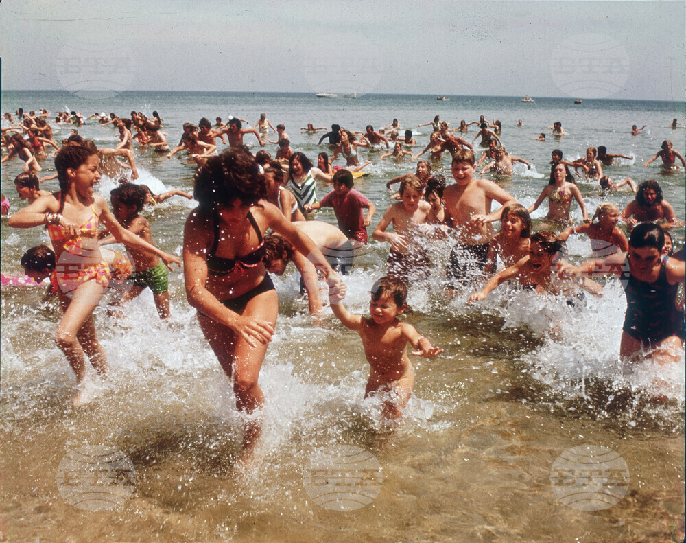Film - Jaws at 50