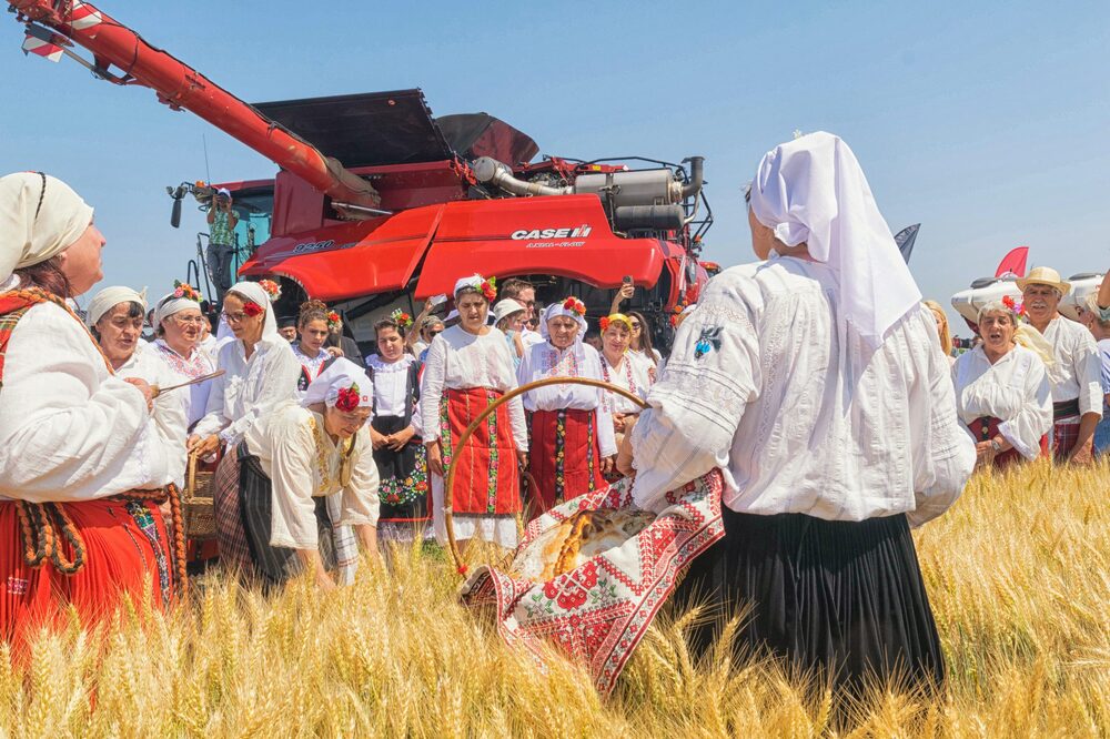 Национална асоциация на зърнопроизводителите: Начало на жътвата