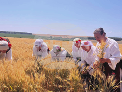 Снимка: Национална асоциация на зърнопроизводителите