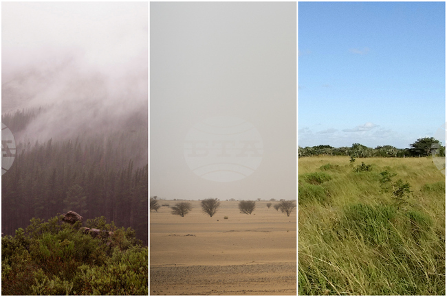 Ранните хора са се приспособили към екстремни местообитания, показва изследване