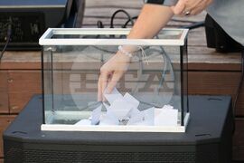 Бургас - Национален конкурс за песен "Бургас и морето" 2025 - обявяване на песните