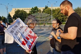 Румъния - протест срещу насилието над жени