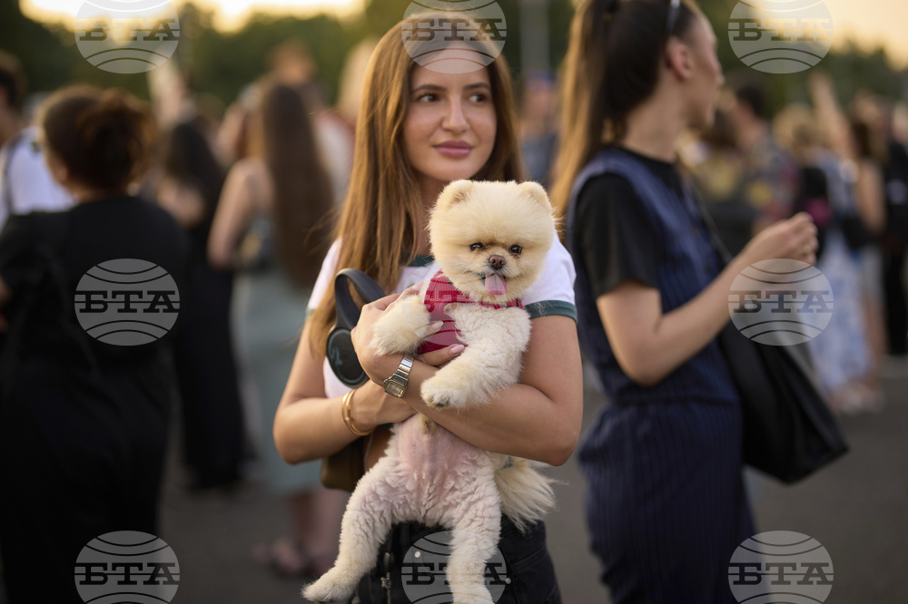 Romania Violence Against Women Protest