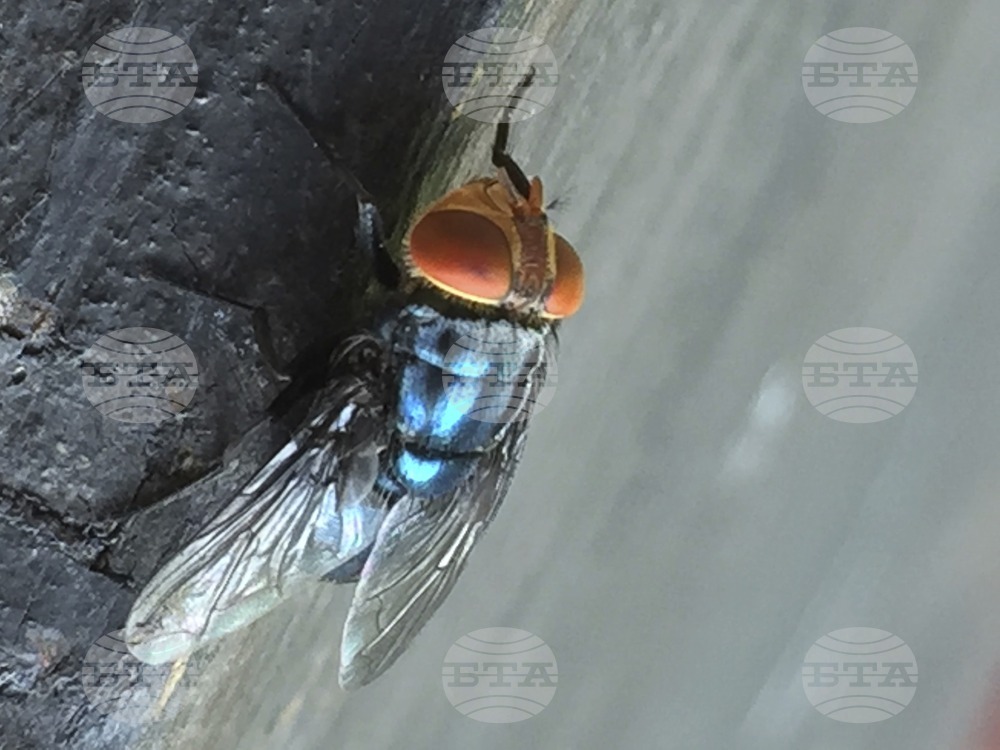 Fly Factory Texas