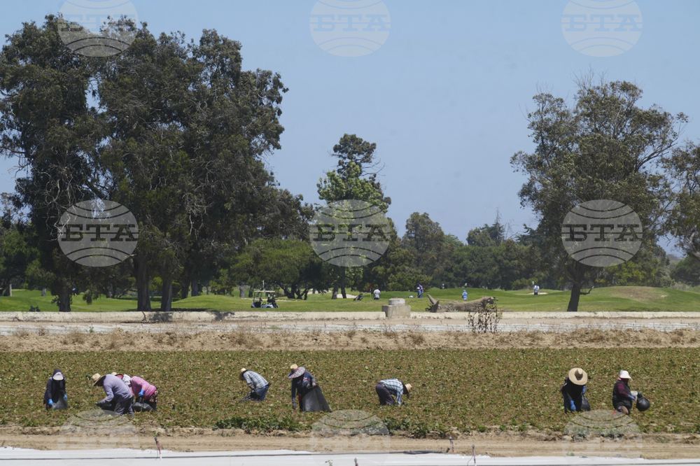 Immigration California Farms