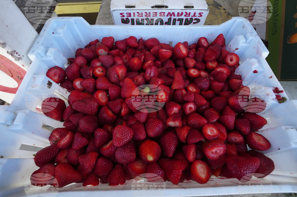 Immigration California Farms