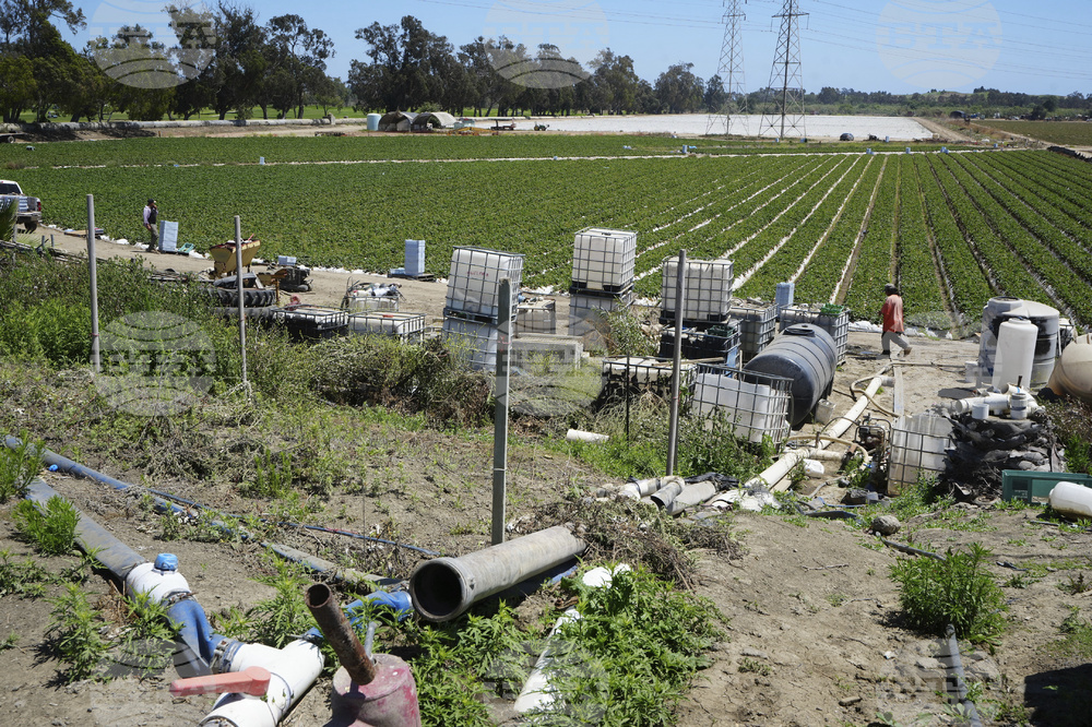 Immigration California Farms