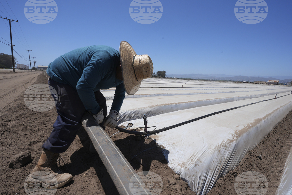 Immigration California Farms