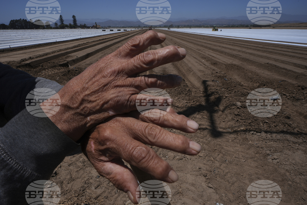 Immigration California Farms