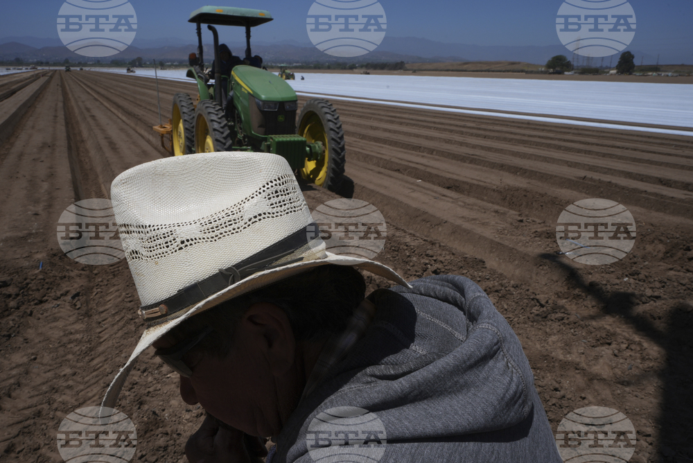 Immigration California Farms