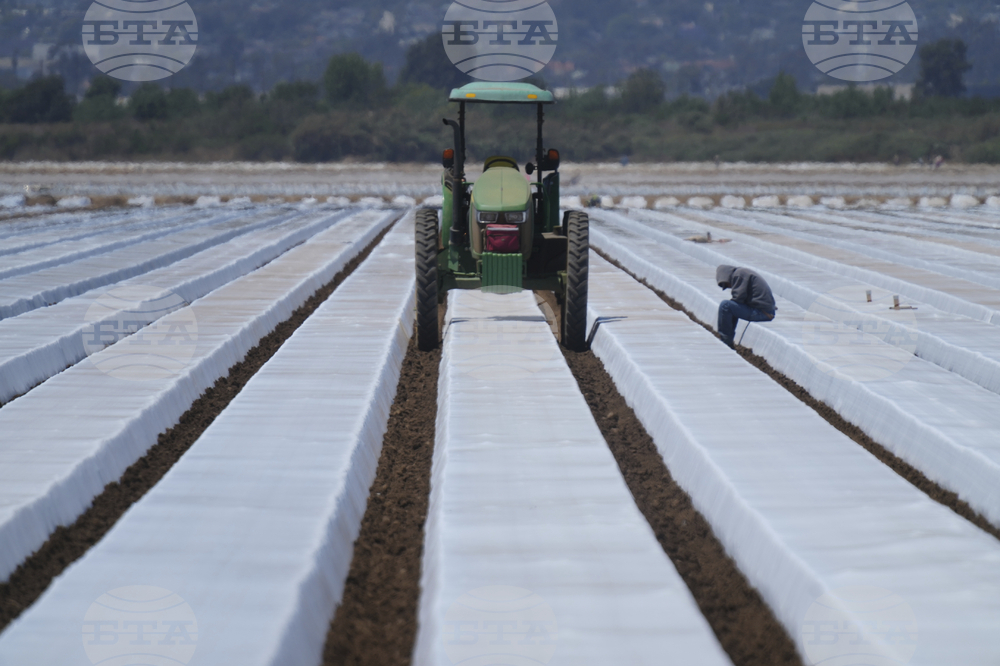 Immigration California Farms