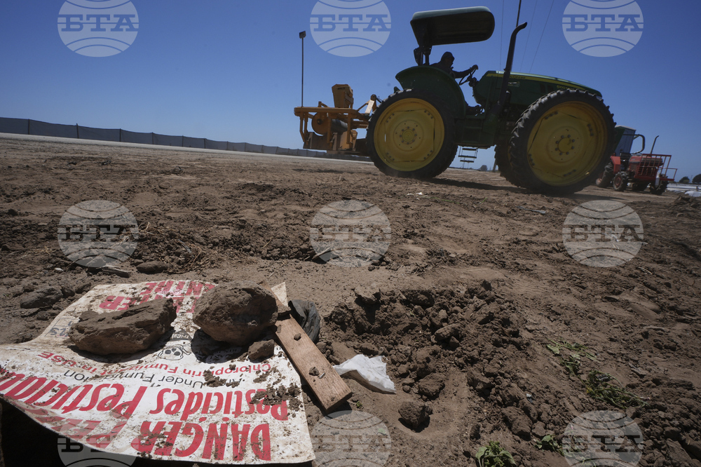 Immigration California Farms