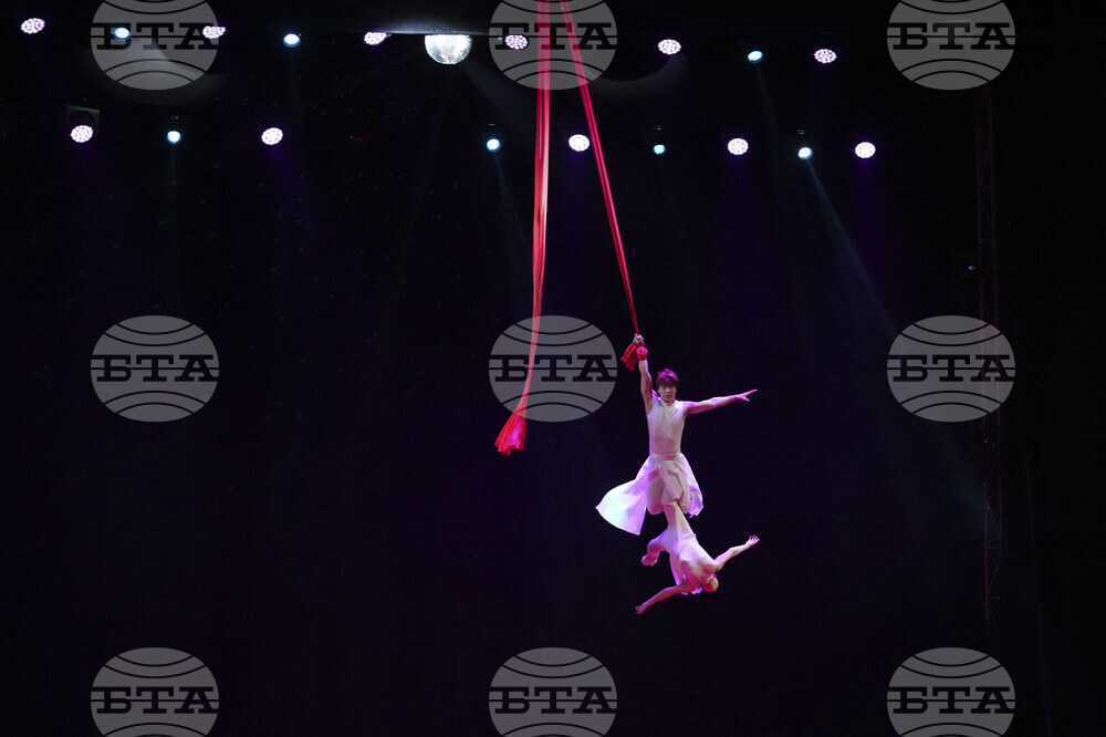 South Korea Last Circus