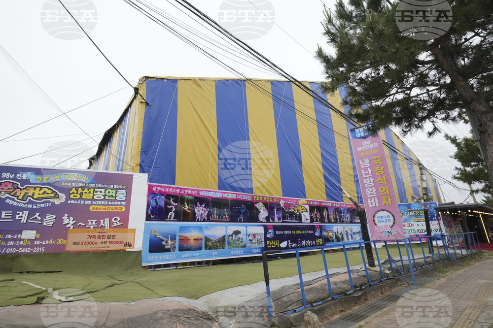 South Korea Last Circus Photo Gallery