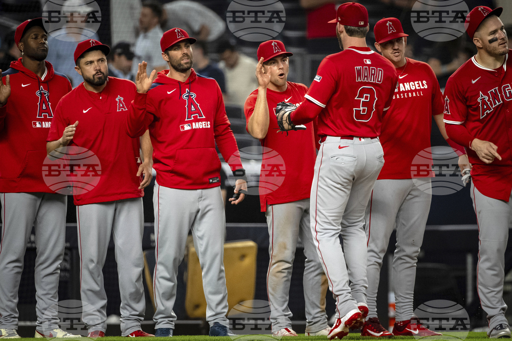Angels Yankees Baseball