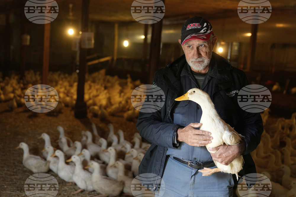 US Bird Flu-Duck Farm