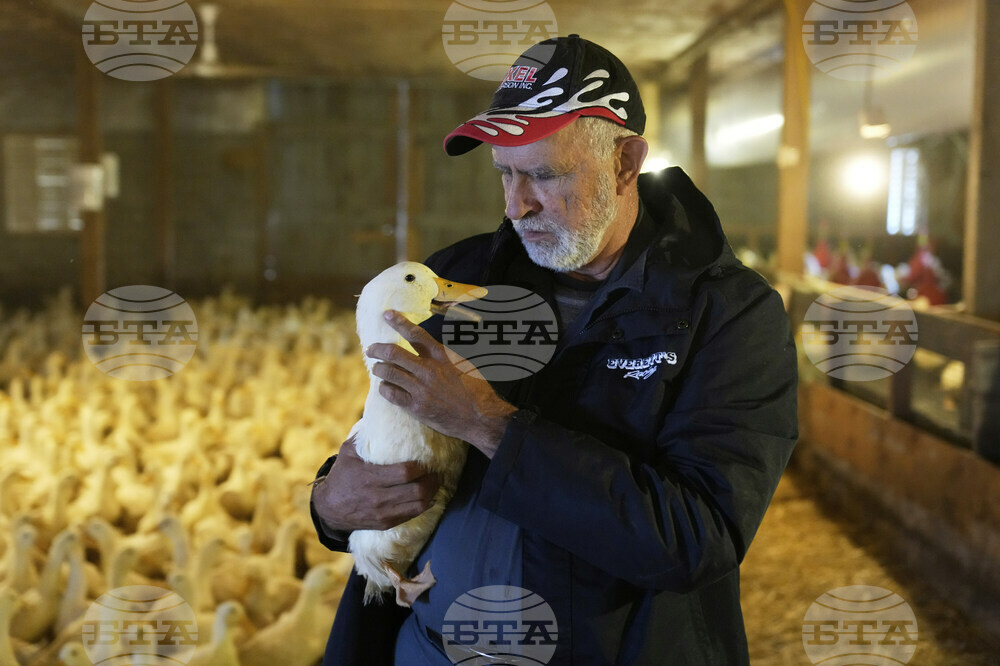 US Bird Flu-Duck Farm
