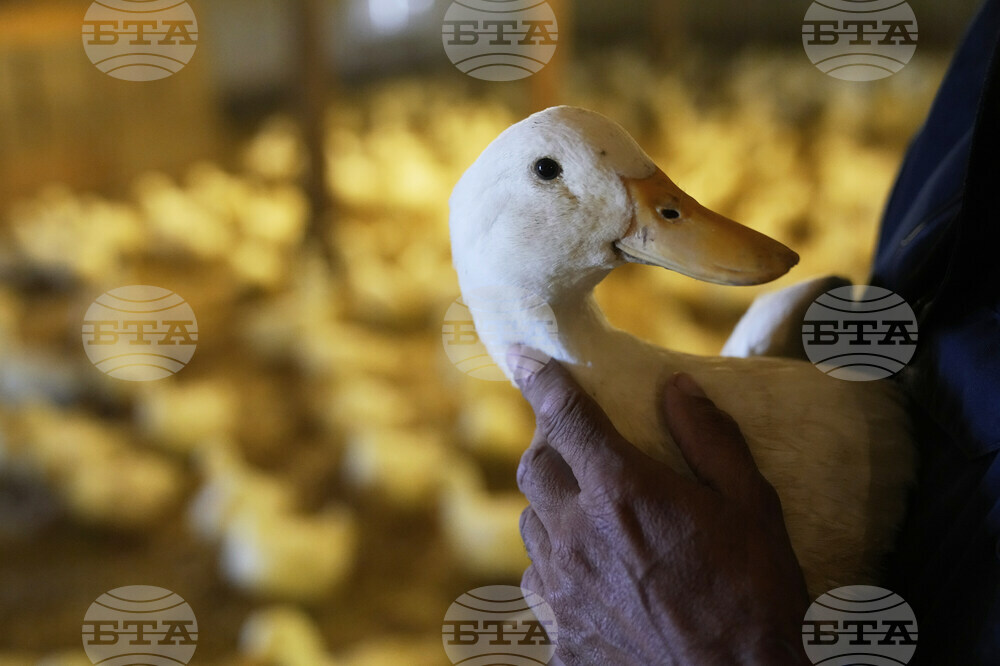 US Bird Flu-Duck Farm