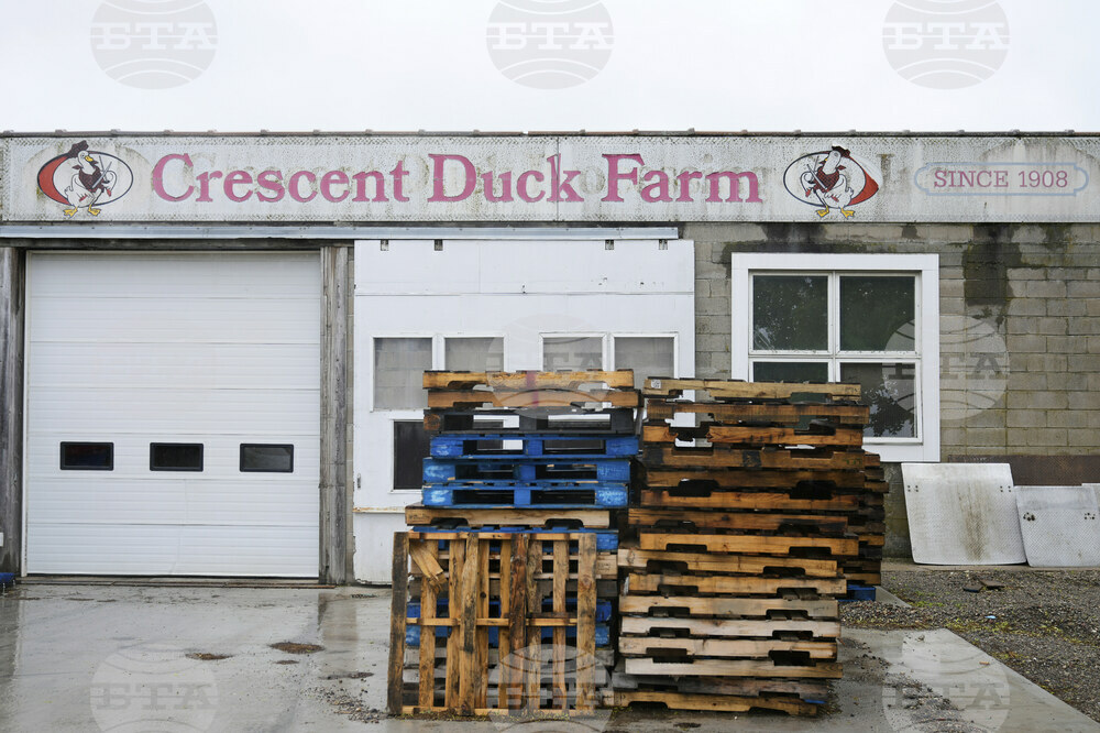 US Bird Flu-Duck Farm