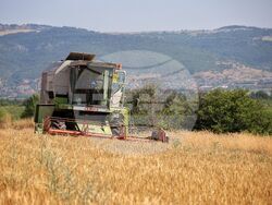 Село Поляново - жътвена кампания - откриване