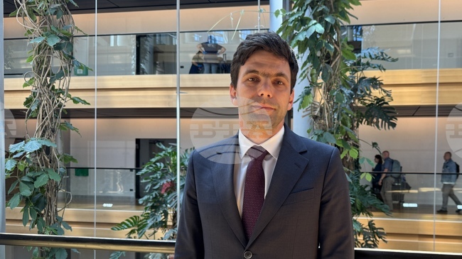 Protection of Bulgarians in North Macedonia Is Matter of European Values, MEP Minchev Says