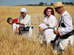 Село Поляново - жътвена кампания - откриване