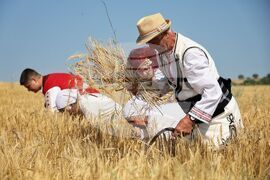Село Поляново - жътвена кампания - откриване