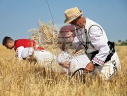 Село Поляново - жътвена кампания - откриване