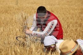 Село Поляново - жътвена кампания - откриване