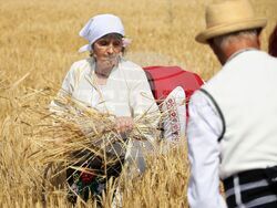 Село Поляново - жътвена кампания - откриване